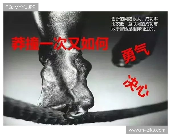 Z6人生：用智慧和勇气书写属于你的非凡人生故事